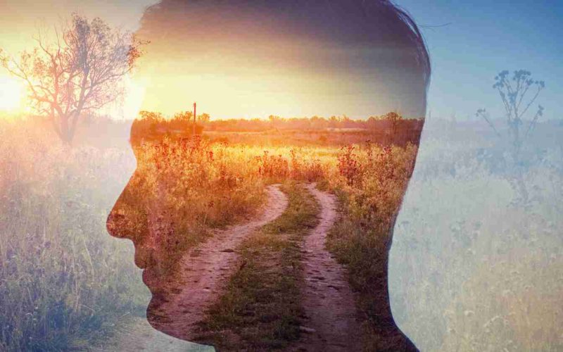 Unlocking the Power of Environmental Psychology: How Your Surroundings Shape Your Mind and Health