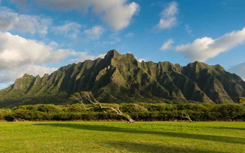 Oahu Adventure Awaits: 25 Must-Do Things That Will Make Your Trip to Hawaii Unforgettable
