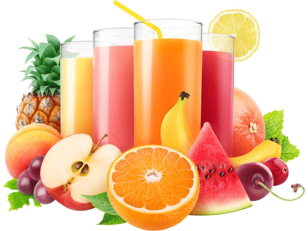 Start Juice centre business in bihar