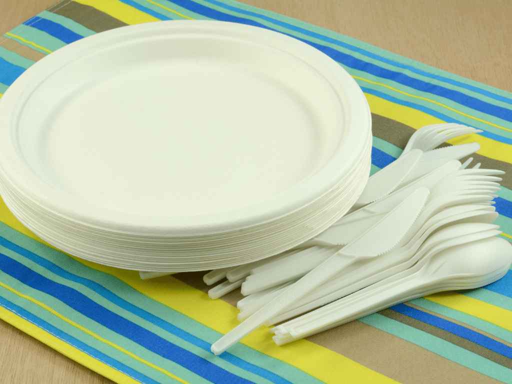 Start Manufacturing Disposable Plates