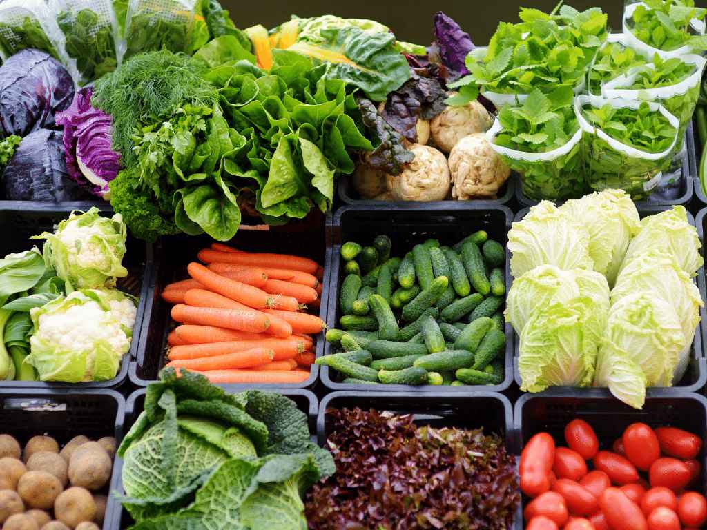 Start Selling organic vegetables and fruits in bihar