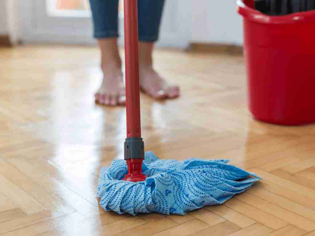 Start a home cleaning service