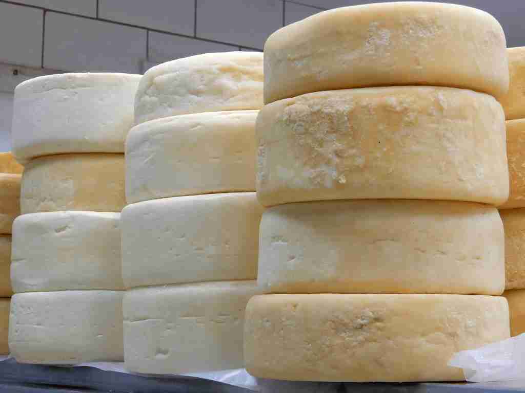 Producing and selling artisanal cheese