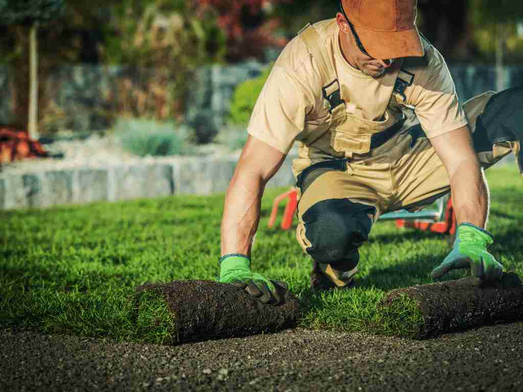 Start A landscaping franchise business