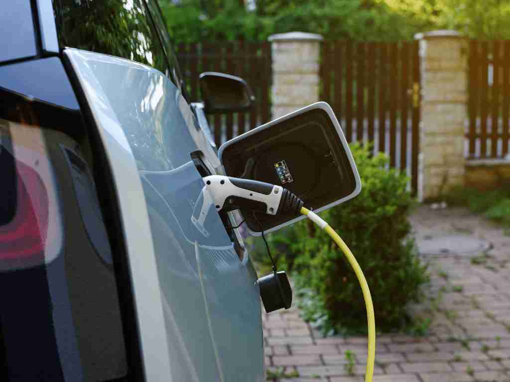 Start a business that makes electric vehicles