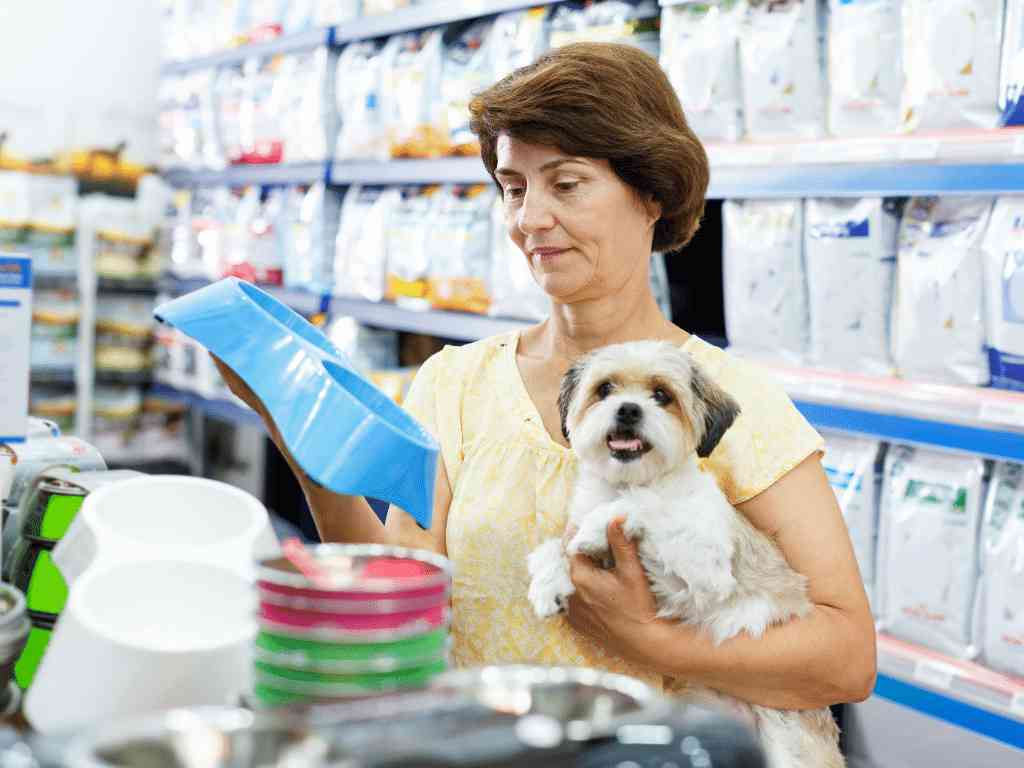 Start A dropshipping business in the pet supplies industry