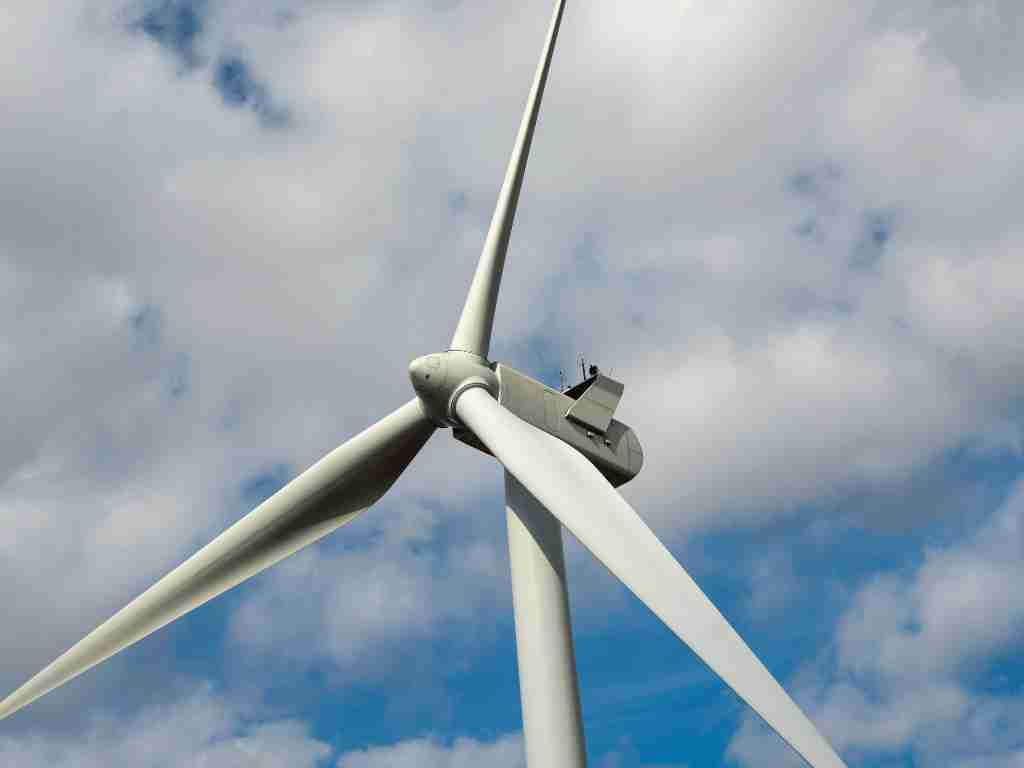 Start a business that makes wind turbines
