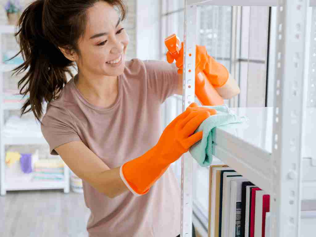 Starting a home cleaning business