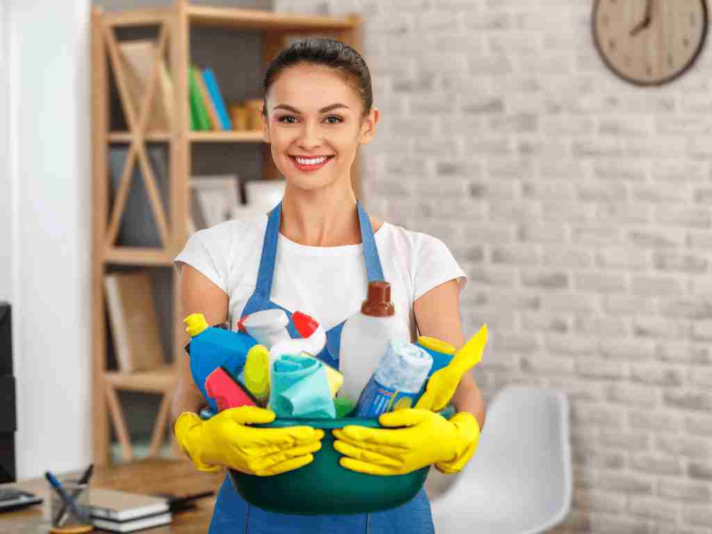 Start A business that provides home-cleaning services in Small town