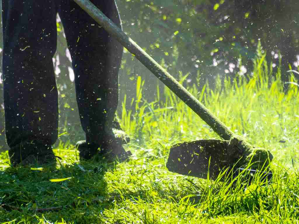 Start A business that offers lawn care services in Small town