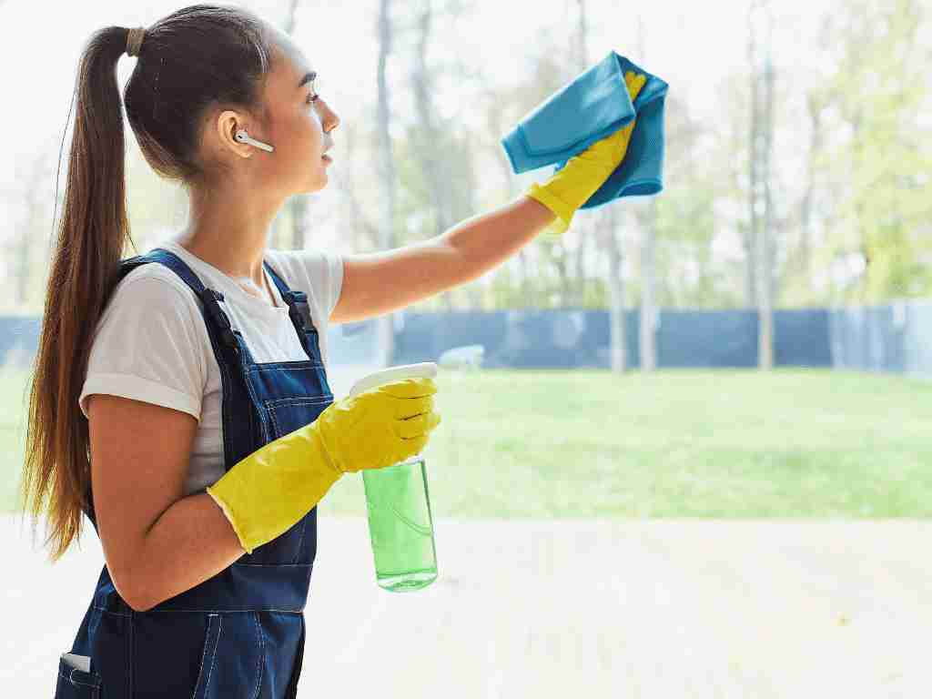 Start A business that offers window-washing services in Small town