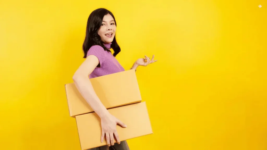Understanding the Differences Between Individual and Professional Seller Subscription Fees